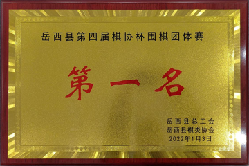 我公司荣获“岳西县第四届棋协杯象棋、围棋赛”围棋赛个人冠军和团体第一名